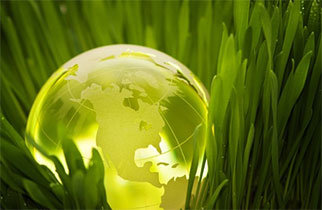 green-globe-grass